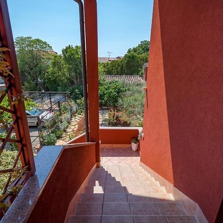 Iva House With Apartment Умаг Екстер'єр фото